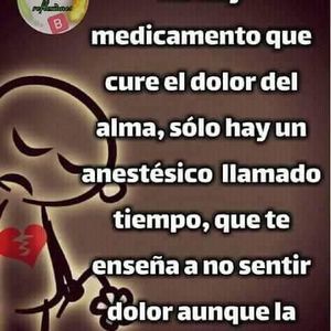 Meet your Posher, Haydee